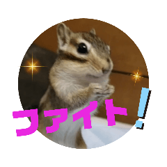 [LINEスタンプ] シマリス茶々と一緒 2