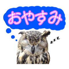 [LINEスタンプ] ミミズクのりんちゃん