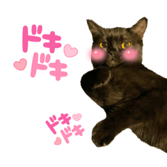 [LINEスタンプ] るなぴの日常スタンプ③