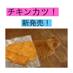 [LINEスタンプ] 雨汐とガッシーねこーず達の合成スタンプ他