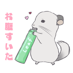 [LINEスタンプ] チンチラ好きに需要があるはずのスタンプ