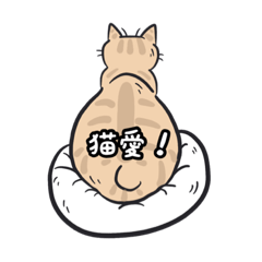 [LINEスタンプ] 猫マニスト