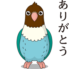 [LINEスタンプ] 茶色い顔のボタンインコ