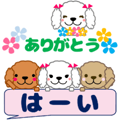 [LINEスタンプ] 省スペースでプードル達がメッセージを