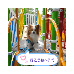 [LINEスタンプ] ぱぴぱぴパピヨン35