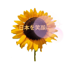 [LINEスタンプ] コロナ渦だからこそ元気が貰えるスタンプ