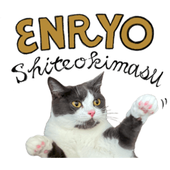 [LINEスタンプ] はちわれねこアグちゃんスタンプ2
