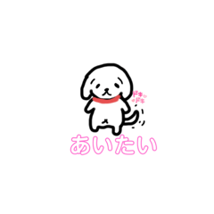 [LINEスタンプ] くーちゃんらいふ