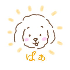 [LINEスタンプ] トイプードルのぽぽん太だよ！