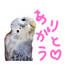 [LINEスタンプ] すけかく2