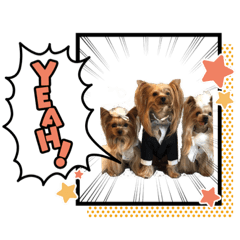 [LINEスタンプ] 田頭わんにゃん