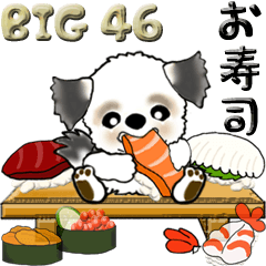 [LINEスタンプ] 【Big】シーズー犬 46『お寿司』の画像（メイン）