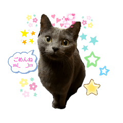 [LINEスタンプ] 猫スタンプ第二弾