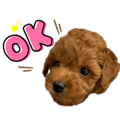 [LINEスタンプ] 杏#01