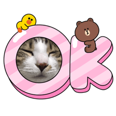 [LINEスタンプ] はんだとうみ