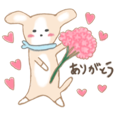 [LINEスタンプ] 毎日チワワちゃん