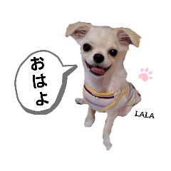 [LINEスタンプ] ララスタンプず1