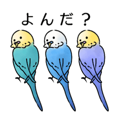 [LINEスタンプ] 本当に使い勝手が良い！うちのとりスタンプ