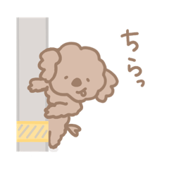 [LINEスタンプ] トイプードルくん日記〜日常編〜