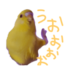 [LINEスタンプ] すけかく3