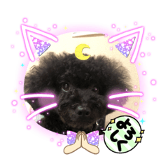[LINEスタンプ] 仲良し3人家族＆時々ミコトw