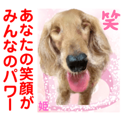 [LINEスタンプ] Smilewanの仲間達①