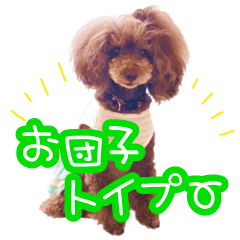 [LINEスタンプ] お団子トイプー