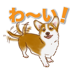 [LINEスタンプ] 犬 かわいい いろんな ワンコ ペット