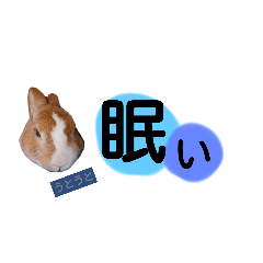 [LINEスタンプ] うさぎの若5
