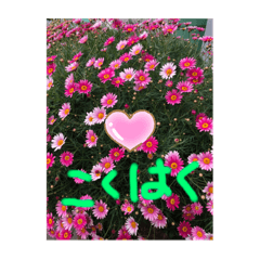 [LINEスタンプ] パクの赤の衝撃 RED FLOWER