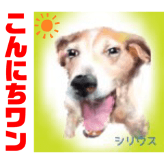 [LINEスタンプ] 幸せに向かってGO GO〜❤️