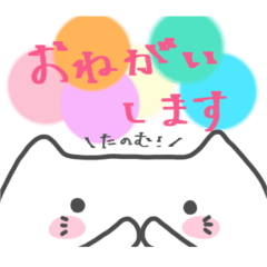 [LINEスタンプ] 毎日使えるしろねこスタンプ