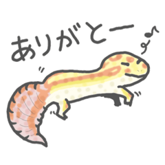 [LINEスタンプ] レオパの日常スタンプ(敬語ver付き)