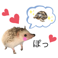 [LINEスタンプ] シナモンと小次郎