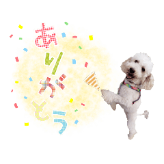 [LINEスタンプ] トイプー光秀だらけ～♪