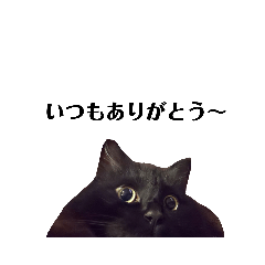 [LINEスタンプ] あくびとふくすけ3