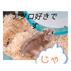 [LINEスタンプ] ラルクとおもちのすぐに使えるスタンプ