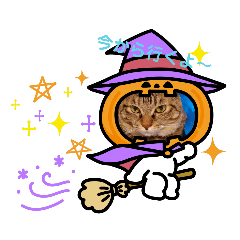 [LINEスタンプ] 行ってきます！真顔ねこ