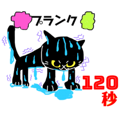 [LINEスタンプ] 猫、滝汗、チアダンス、トレーニング