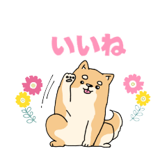 [LINEスタンプ] 柴犬のまるくん「毎日使える♪」