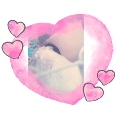 [LINEスタンプ] ハムこちゃんと愉快な仲間たち