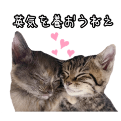 [LINEスタンプ] ヨナハクスタンプ