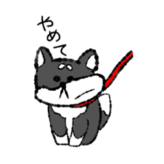 [LINEスタンプ] 黒柴暮らし。