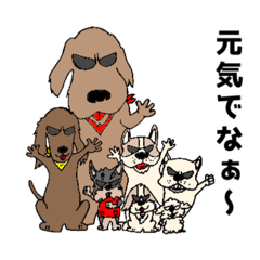 [LINEスタンプ] ちょい悪ワンコ大集合！1