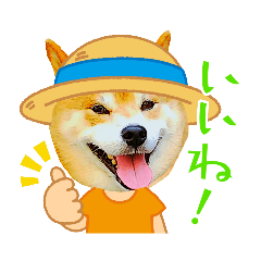 [LINEスタンプ] いぬとも＆ねことも