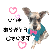 [LINEスタンプ] しゅうちゃん♪と毎日スマイル♪