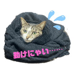 [LINEスタンプ] パトラさんとゴッドくん