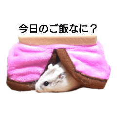 [LINEスタンプ] うちのハムチ