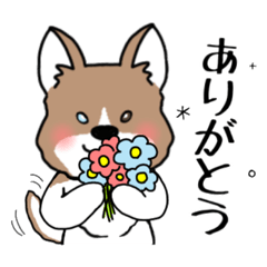 [LINEスタンプ] ＃ケイリー