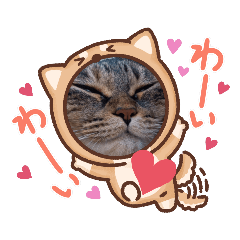 [LINEスタンプ] かわいさアップ！いつもより可愛い真顔ねこ